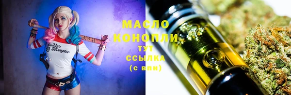 спиды Богородицк