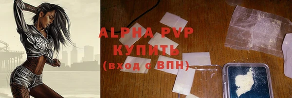 спиды Богородицк
