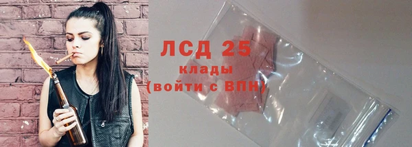 дурь Бородино