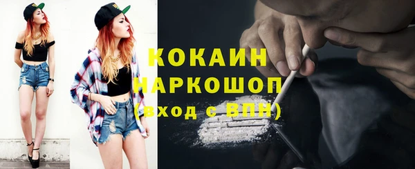 первитин Богданович