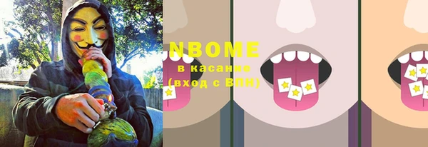 спиды Богородицк