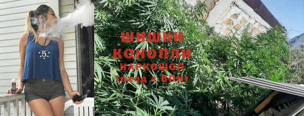 первитин Богданович