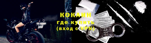спиды Богородицк