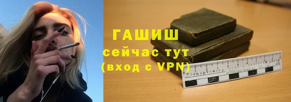спиды Богородицк