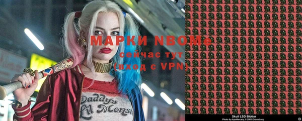 спиды Богородицк