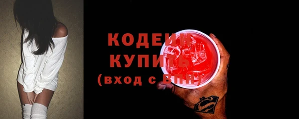 спиды Богородицк