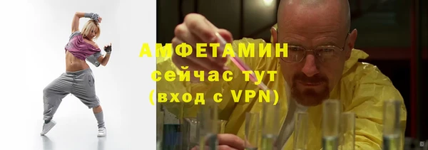 дживик Богородск