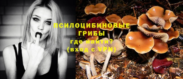 дживик Богородск