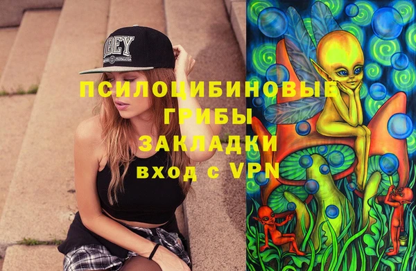 дживик Богородск