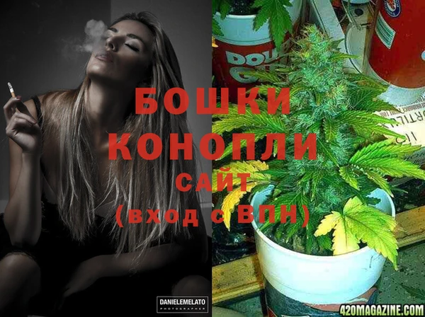 спиды Богородицк