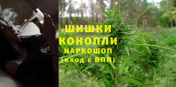 первитин Богданович