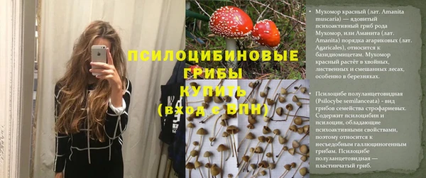 дмт Бугульма