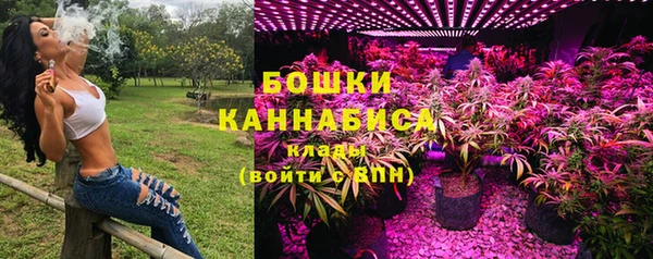 дурь Бородино