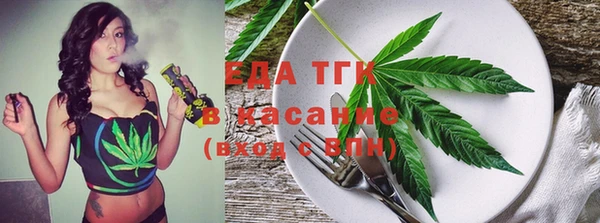 спиды Богородицк