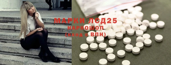 спиды Богородицк