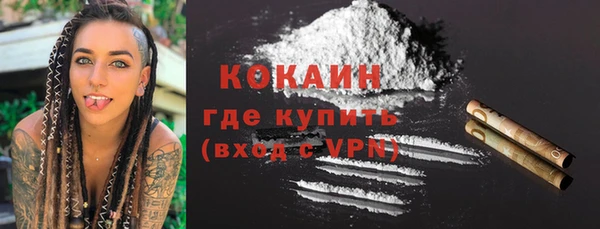 дживик Богородск