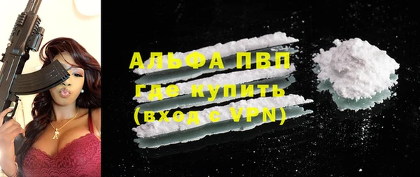 дурь Бородино